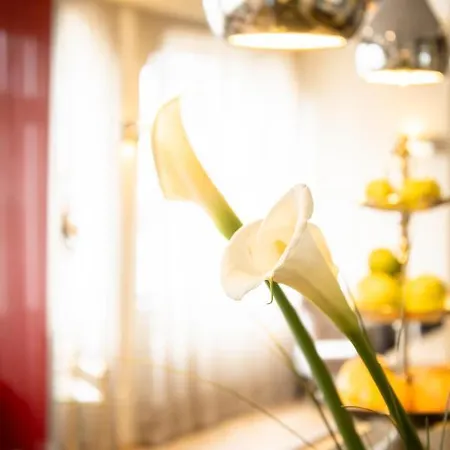 酒店 Arkade Am Theater 3*