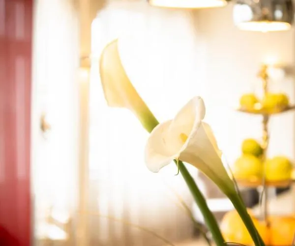 호텔 Arkade Am Theater 3*